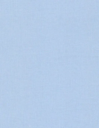 Baumwollstoff Renforcé 001400001 Uni (zartes hellblau) von Westfalenstoffe