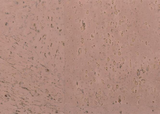 Korkstoff Surface Rosé Artikel-Nr. 060525 Stück 0,50 x 0,47m