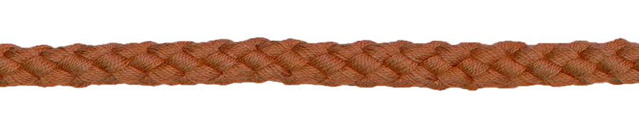 braun (987)