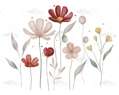 Watercolor illustration of colorful wildflowers with slender stems on a white background.