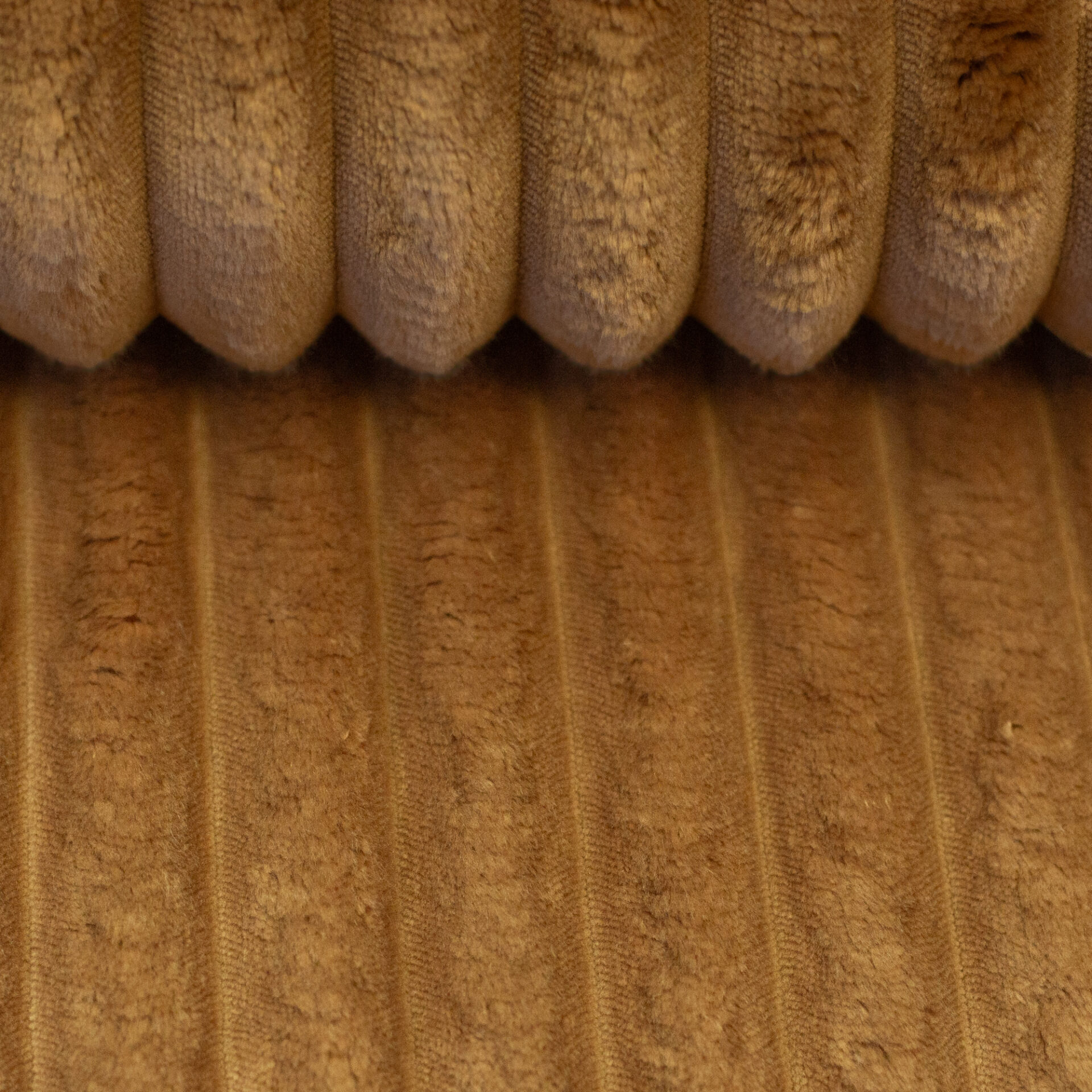 Plüsch Breitcord Plön ocker Farbe 000315 von Swafing