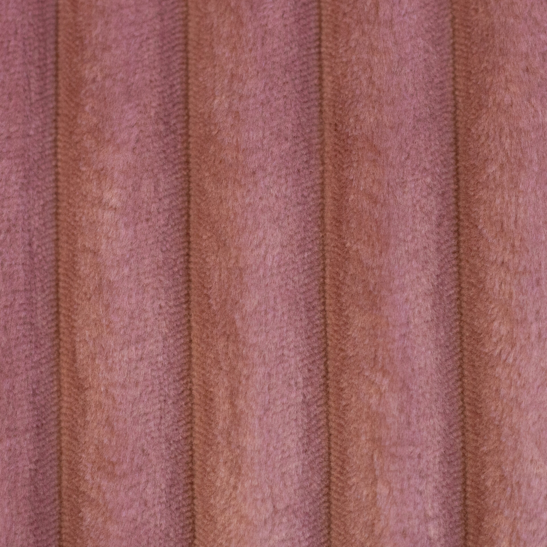 Plüsch Breitcord Plön altrosa Farbe 000435 von Swafing