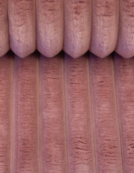 Plüsch Breitcord Plön altrosa Farbe 000435 von Swafing