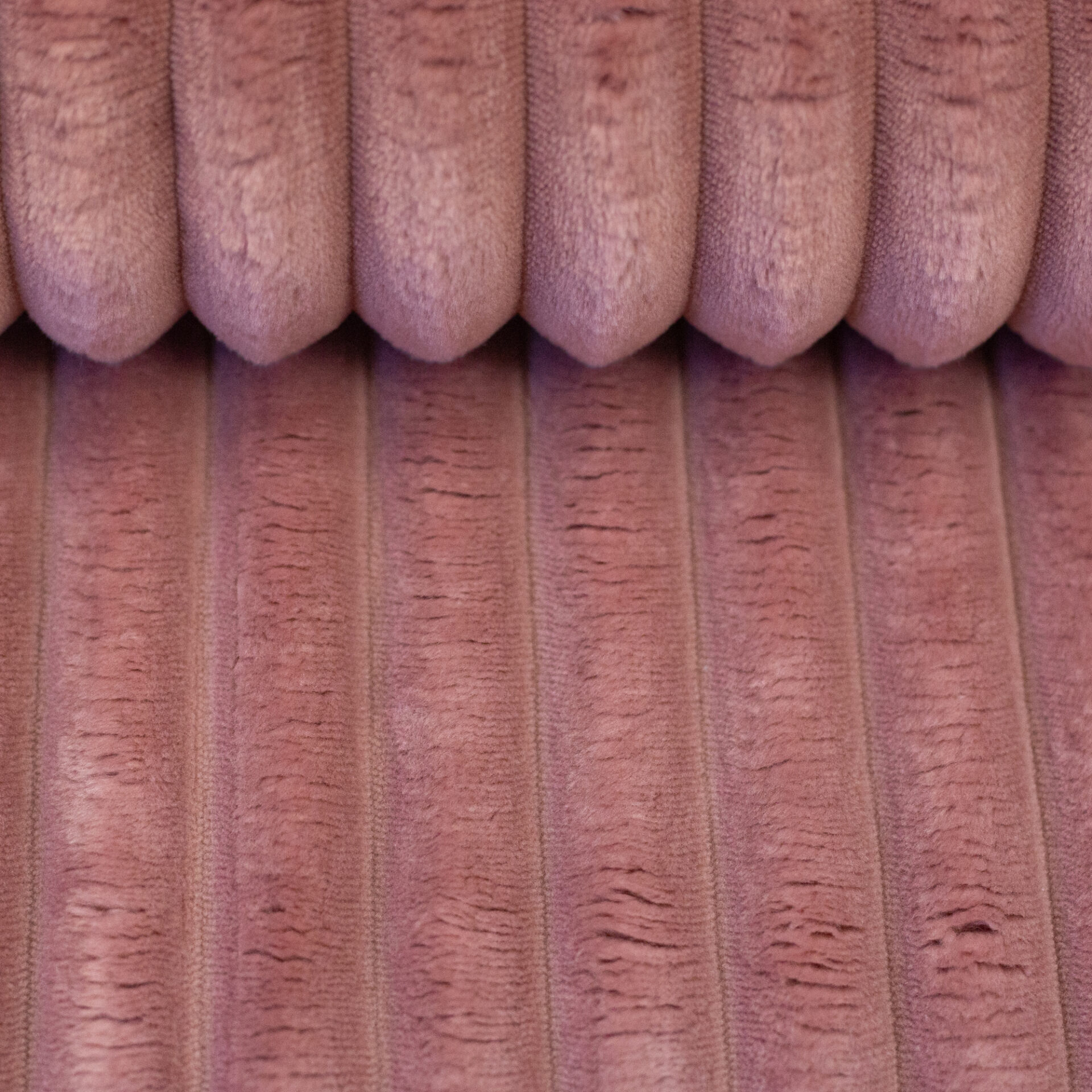 Plüsch Breitcord Plön altrosa Farbe 000435 von Swafing