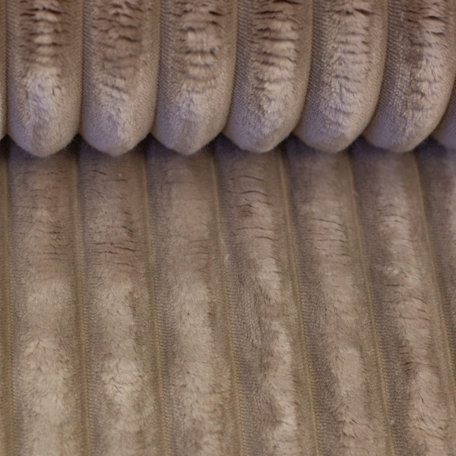 Plüsch Breitcord Plön schlamm Farbe 000674 von Swafing