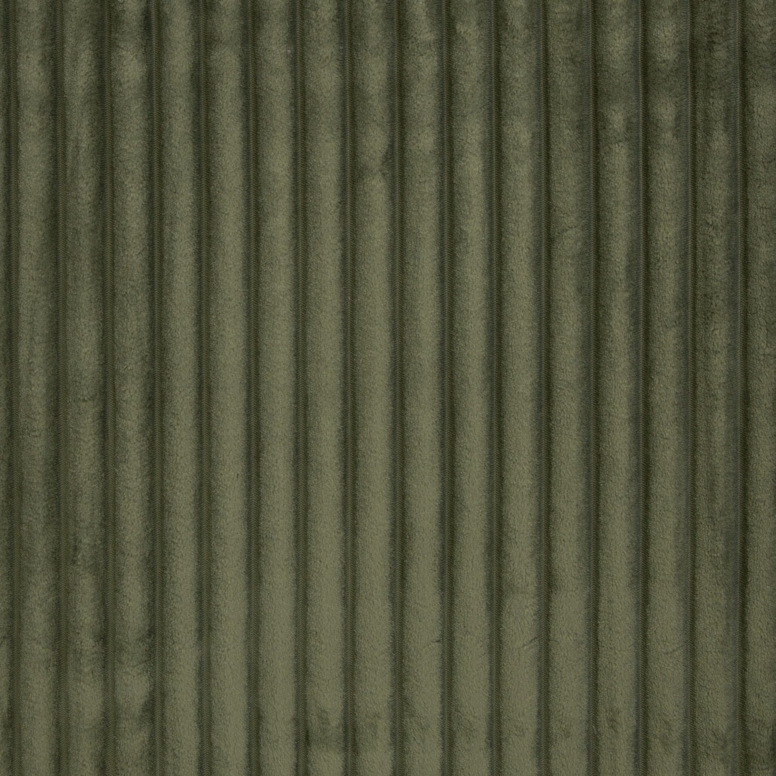 Plüsch Breitcord Plön khaki Farbe 000764 von Swafing