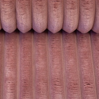 Plüsch Breitcord Plön altrosa Farbe 000435 von Swafing