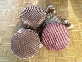 Plüsch Breitcord Plön ocker Farbe 000315 von Swafing